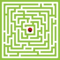 Maze King