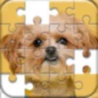 Jigsaw Puzzles Classic Games