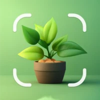 Plant Identification App